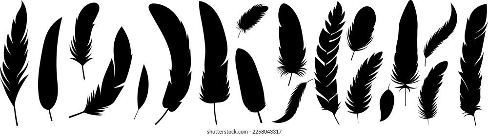 collection of bird feathers silhouette ,design isolated, vector