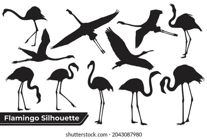 Collection of Bird Flamingo silhouettes in different positions