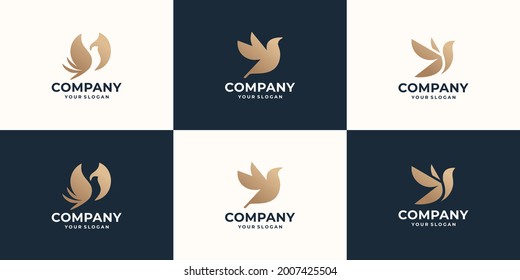 collection of bird logo design. creative abstract bird logo set modern. premium vector