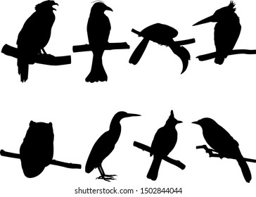Collection of Bird on tree branch Silhouettes. Vector illustration isolated on white