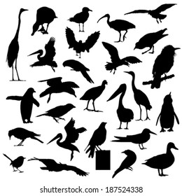 Collection of bird silhouettes