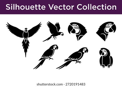 Colección de siluetas de aves aisladas sobre fondo blanco