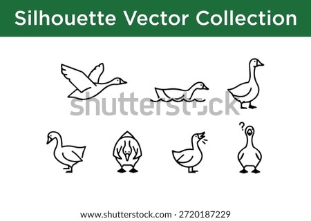 Collection of bird silhouettes isolated on white background