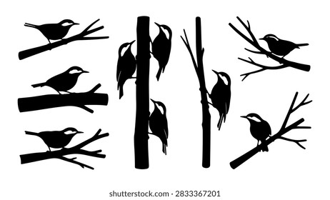 A collection of bird silhouettes perched on branches, showcasing diverse species and postures in a natural setting.