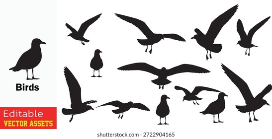 Kollektion von Vogel-Silhouetten in verschiedenen fliegenden und stehenden Posen einzeln auf transparentem Hintergrund für kreatives Wildlife Design

Dieses professionelle Bild zeigt eine vielfältige und elegante Sammlung von Vogelsilhouetten, die sorgfältig in einer Vielzahl von natürlichen Flug- und Stehpositionen aufgenommen wurden. Das Set präsentiert Vögel im Mittelflug mit breiten Flügelspannungen sowie aufgestellten Stehprofilen, die alle in einem sauberen, minimalistischen Stil mit einheitlichen schwarzen Füllungen gerendert sind. Diese Silhouetten sind in einem verstreuten, dynamischen Layout angeordnet und rufen ein Gefühl von Bewegung, Freiheit und der natürlichen Welt hervor. Diese hochwertigen, editierbaren Vektorgrafiken sind auf transparentem Hintergrund isoliert und eine ideale Ressource für Naturschutzprojekte, Markendarstellungen zum Thema Natur, Umweltplakate und dekorative Wandkunst. Die scharfen, genau definierten Linien sorgen dafür, dass jede Silhouette klar und eindrucksvoll bleibt, egal ob sie in digitalen Schnittstellen oder in hochauflösenden Printmedien verwendet wird.

Zu den wichtigsten Funktionen gehören:
Dynamische Action und Stance Umfasst eine breite Palette von Vogel-Posen, von steil ansteigenden Luftbewegungen bis hin zu geerdeten Haltung.

Minimalistische Ästhetik Der solide schwarze Grafikstil bietet einen zeitlosen Look, der perfekt zu modernem Logo-Design und Ikonographie passt.

Vielseitige Natursymbole Ideal für die Darstellung von Freiheit, Reisen, Frieden und Biodiversität in verschiedenen kreativen Workflows.

Professionelle Vectorqualität Als vollständig skalierbare und editierbare EPS-Datei, die eine mühelose Anpassung von Größe, Form und Farbe ohne Detailverlust ermöglicht.