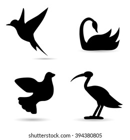 Collection of bird species on white background. Vector art.