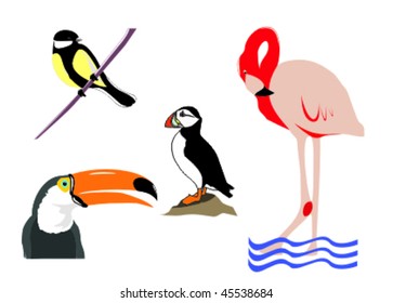 collection of birds