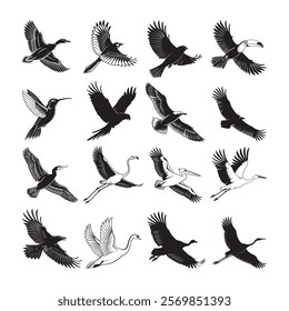 collection of birds. Elegant Flying Bird Silhouette Collection illustration