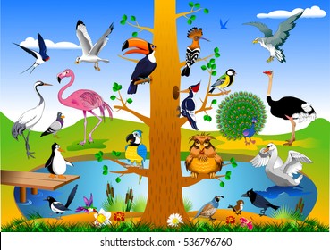 collection of birds in the forest near the green field, vector