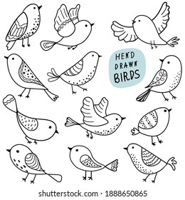 Collection of birds. Hand-drawn bird. Doodle. Black line on a white background. Vector illustration. Set.