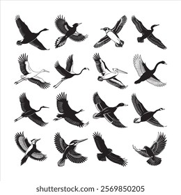 collection of birds. Majestic Birds in Flight: Silhouette Pack