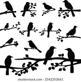 Collection Of Birds on branch silhouette