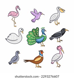 Collection of birds on white background. Set of illustrations for children. Cute sticker. Cartoon style drawing.