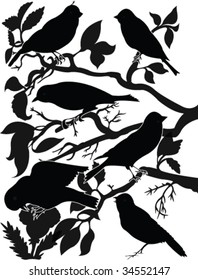 collection of birds on wood silhouette - vector