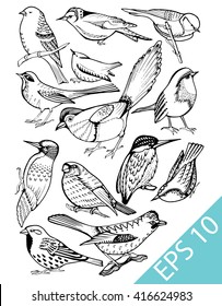 Collection of birds. Sed species of birds. Decorative bird on the branches. Stylized birds. Line art. Black and white drawing by hand. Doodle. Tattoo.