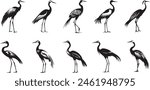 Collection of birds. silhouette of crane bird. crane bird silhouette