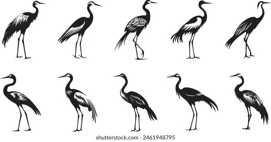 Collection of birds. silhouette of crane bird. crane bird silhouette