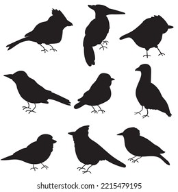 Collection of birds. Silhouette icons. Hand drawn illustrations on white background.