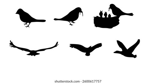 collection of birds silhouette vector illustration
