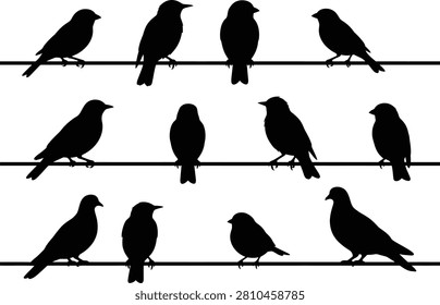 Collection of birds sitting on electric wires in a clean black silhouette style. Perfect for nature, wildlife, landscape, posters, backgrounds, logos, and creative design projects. High-quality isolated vector for print and digital use.