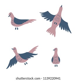 Collection of birds. Vector illustration. 