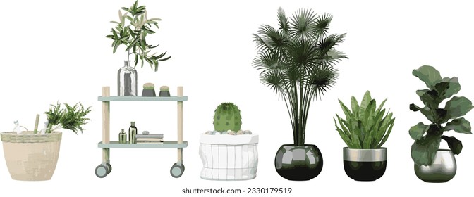 Collection of Bismarck palm,Fiddle-leaf fig,Bird's-nest fern,Barrel cactus,Olive,Eucalyptus on isolated transparent background