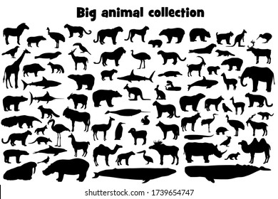 Colección de siluetas de animales negros. Conjunto vectorial de animales salvajes y siluetas de aves. Ilustración de material aislada en fondo blanco. 