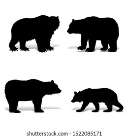 Collection of black bears, silhouette on a white background, vector