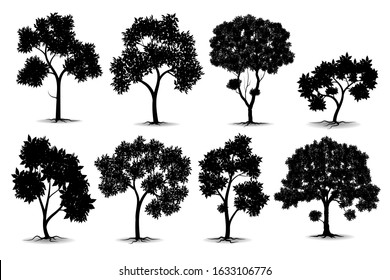 collection of Black big tree Symbol style and white background.Can be used for your work.
