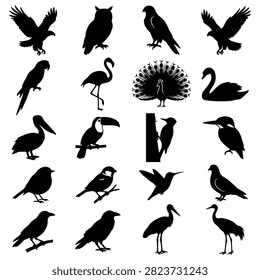Collection of black bird silhouettes depicting various avian species in flight perched on branches and swimming