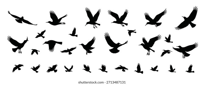 Collection of black bird silhouettes in flight flying