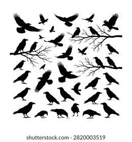 Collection of black bird silhouettes flying and perched on bare tree branches, various poses and angles