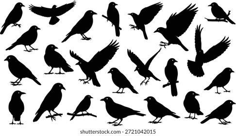 Uma coleção de silhuetas de aves pretas, incluindo corvos e corvos, retratadas em várias poses, como voar, ficar de pé e empoleirar-se em galhos, contra um fundo branco limpo.