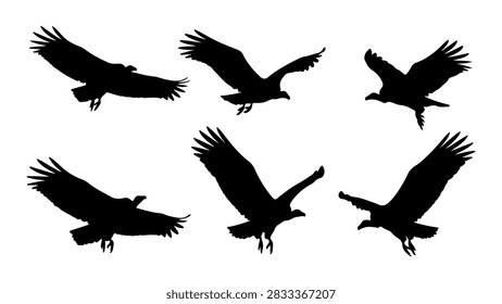 A collection of black bird silhouettes soaring through the sky in various flight positions, emphasizing freedom and natures beauty.