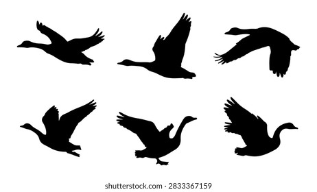 Collection of black bird silhouettes in various flying positions against a plain background, illustrating freedom and natures beauty.