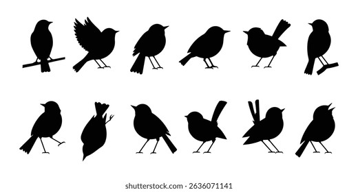 Collection of Black Bird Vector Silhouettes
