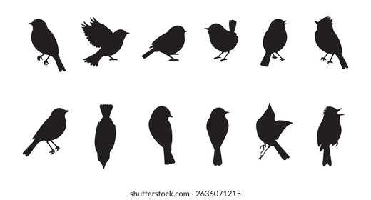 Collection of Black Bird Vector Silhouettes