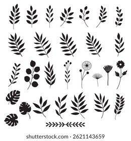Collection of black botanical silhouettes featuring various leaves, flowers, branches, and stems in a minimalist, modern hand-drawn style.