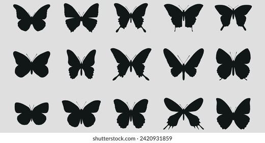 Collection of black butterfly silhouettes.  Vector on a gray background