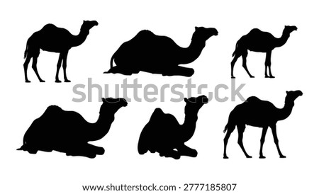 A collection of black camel silhouettes depicted in different poses against a clean, white background.