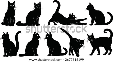 A collection of black cat silhouettes in various poses, including sitting, stretching, and walking. They are all facing different directions.