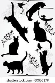 A collection of black cats.