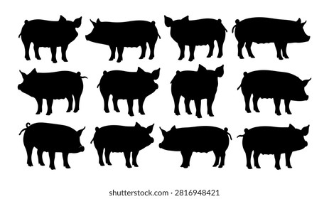 Collection of black cattle silhouettes showcasing different breeds and sizes in a horizontal arrangement, emphasizing diversity in livestock.