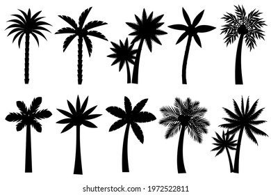 Collection of Black Coconut trees Icon. Can be used to illustrate any nature or healthy lifestyle topic.