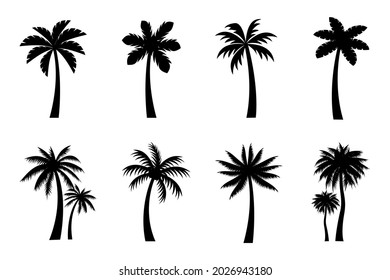 Collection of Black Coconut trees Icon. Can be used to illustrate any nature or healthy lifestyle topic.