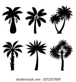 Collection of Black Coconut trees Icon. Can be used to illustrate any nature or healthy lifestyle topic.