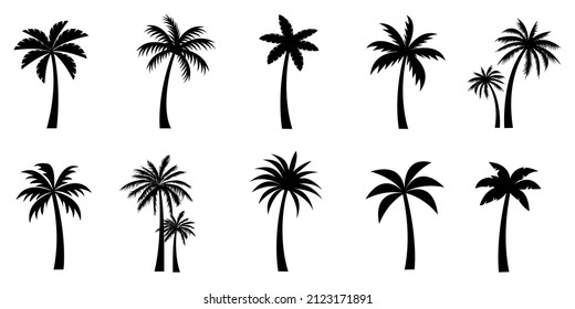 Collection of Black Coconut trees Icon. Can be used to illustrate any nature or healthy lifestyle topic.