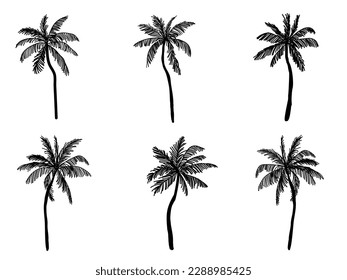 Collection of Black Coconut trees Icon. Can be used to illustrate any nature or healthy lifestyle topic.