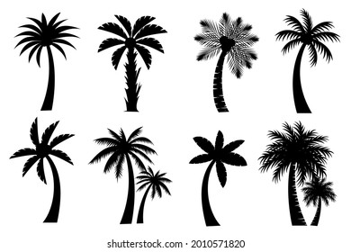 Collection of Black Coconut trees or palm trees Icon. Can be used to illustrate any nature or healthy lifestyle topic.