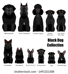 collection of  black color dog